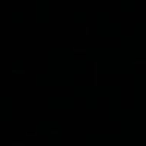 Meet your Posher, Angelina